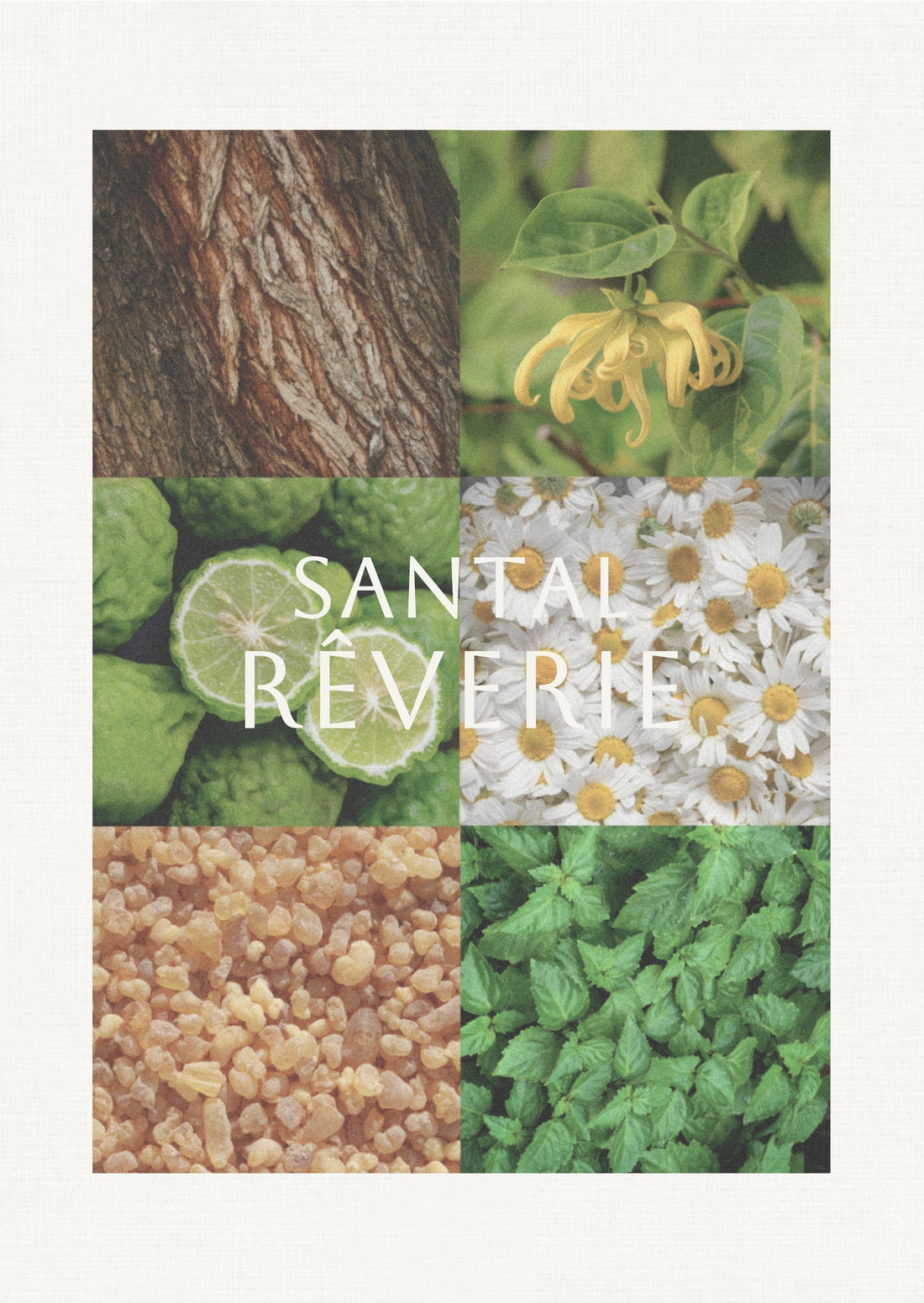 The Art of Rest: ยกระดับสุนทรียภาพแห่งการพักผ่อนด้วย Santal Rêverie Deep Sleep Pillow Mist
