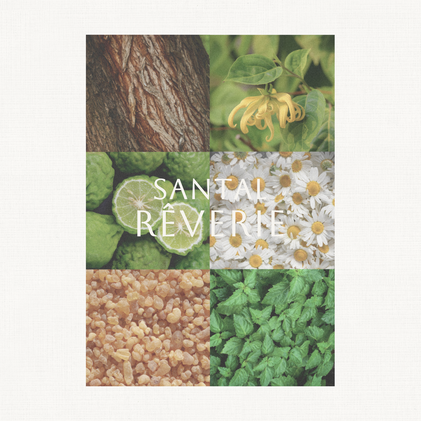 Santal Rêverie Deep Sleep Pillow Mist — Discovery Edition (10 ML)